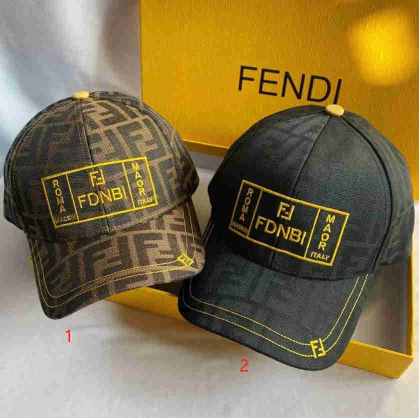 PC5322 Fendi Hat